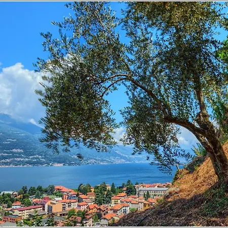 Lake Como Rivalba Bellano