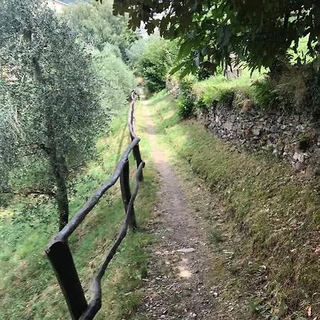 Lake Como Rivalba Bellano